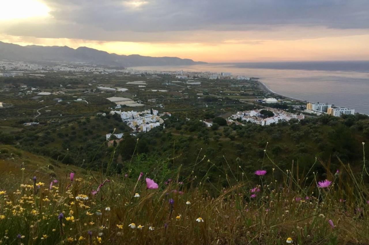 Nerja Paradise Rentals - Villa Los Girasoles Eksteriør billede