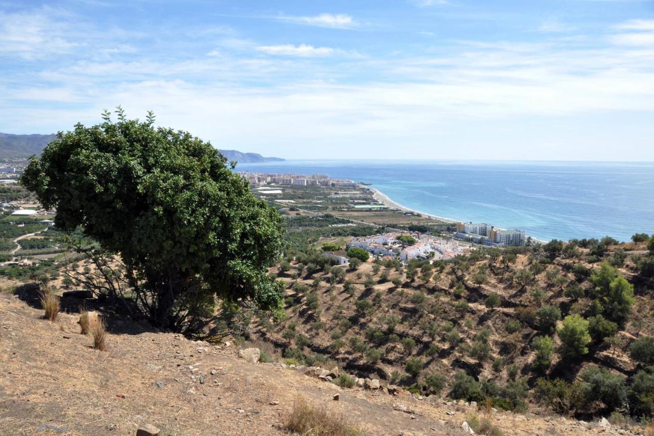 Nerja Paradise Rentals - Villa Los Girasoles Eksteriør billede